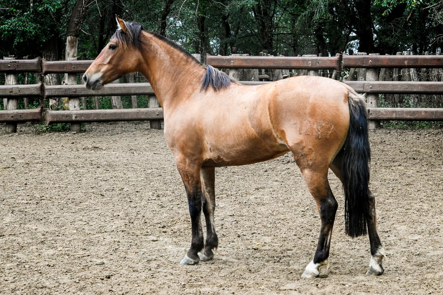 Lote TINAJERA LA INTENCION