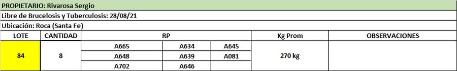 Lote Lote 84 Rivorosa Sergio