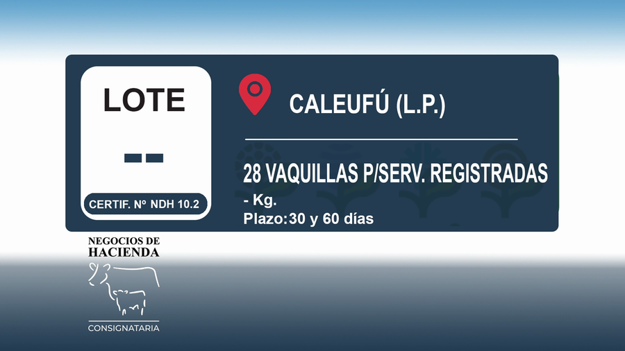 Lote 28 Vaquilla para Servicio Registradas en La Pampa, Caleufú