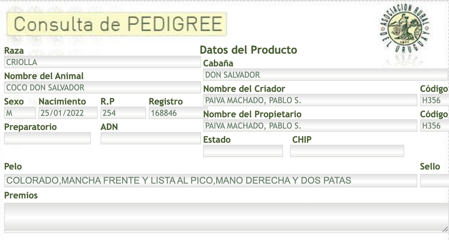 Lote Coco Don Salvador