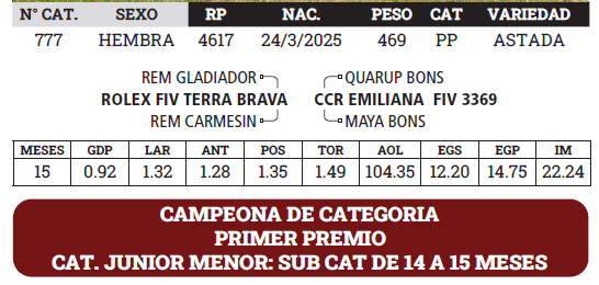 Lote LOTE 9 - BOZAL