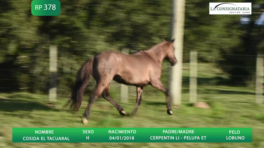 Lote COSIDA EL TACUARAL