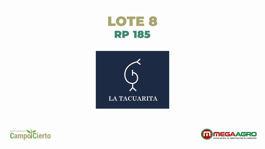 Lote LA TACUARITA