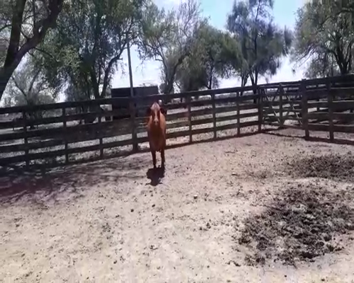 Lote CABAÑA "BAPIO"