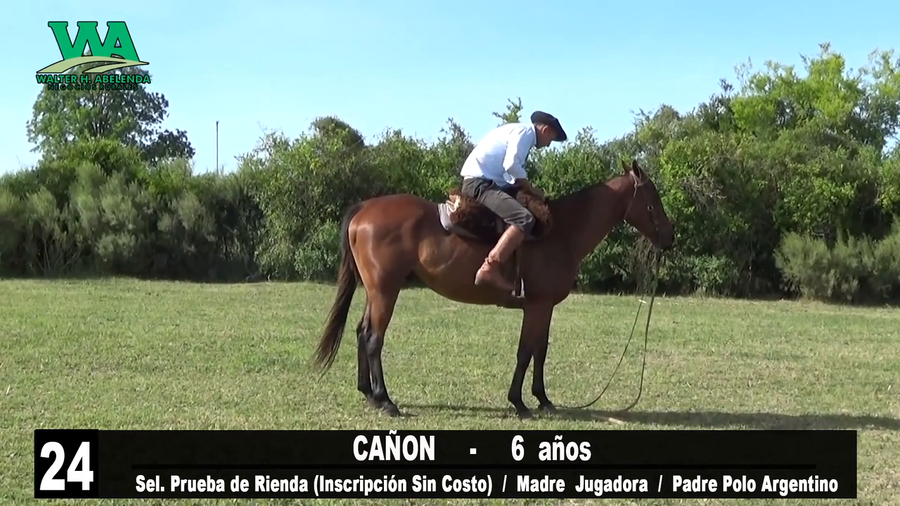 Lote CAÑON