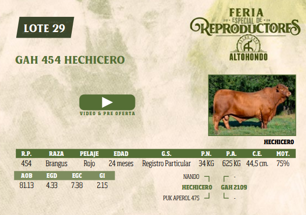Lote LOTE 29