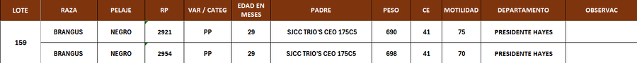 Lote LOTE 159