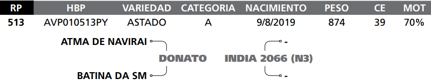 Lote LOTE 77- RP 513