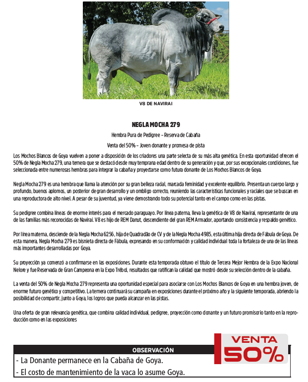 Lote LOTE 42 - SALE A VENTA EL 50%