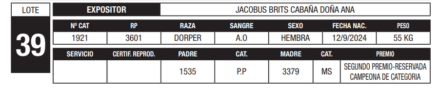 Lote LOTE 39