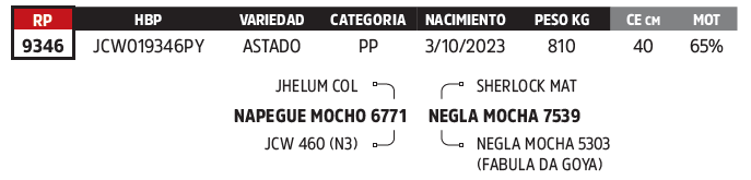 Lote LOTE 23