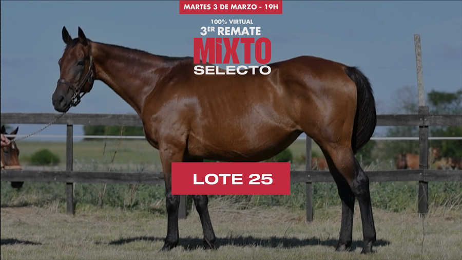 Lote CHEMICAL REACTION (BRZ)