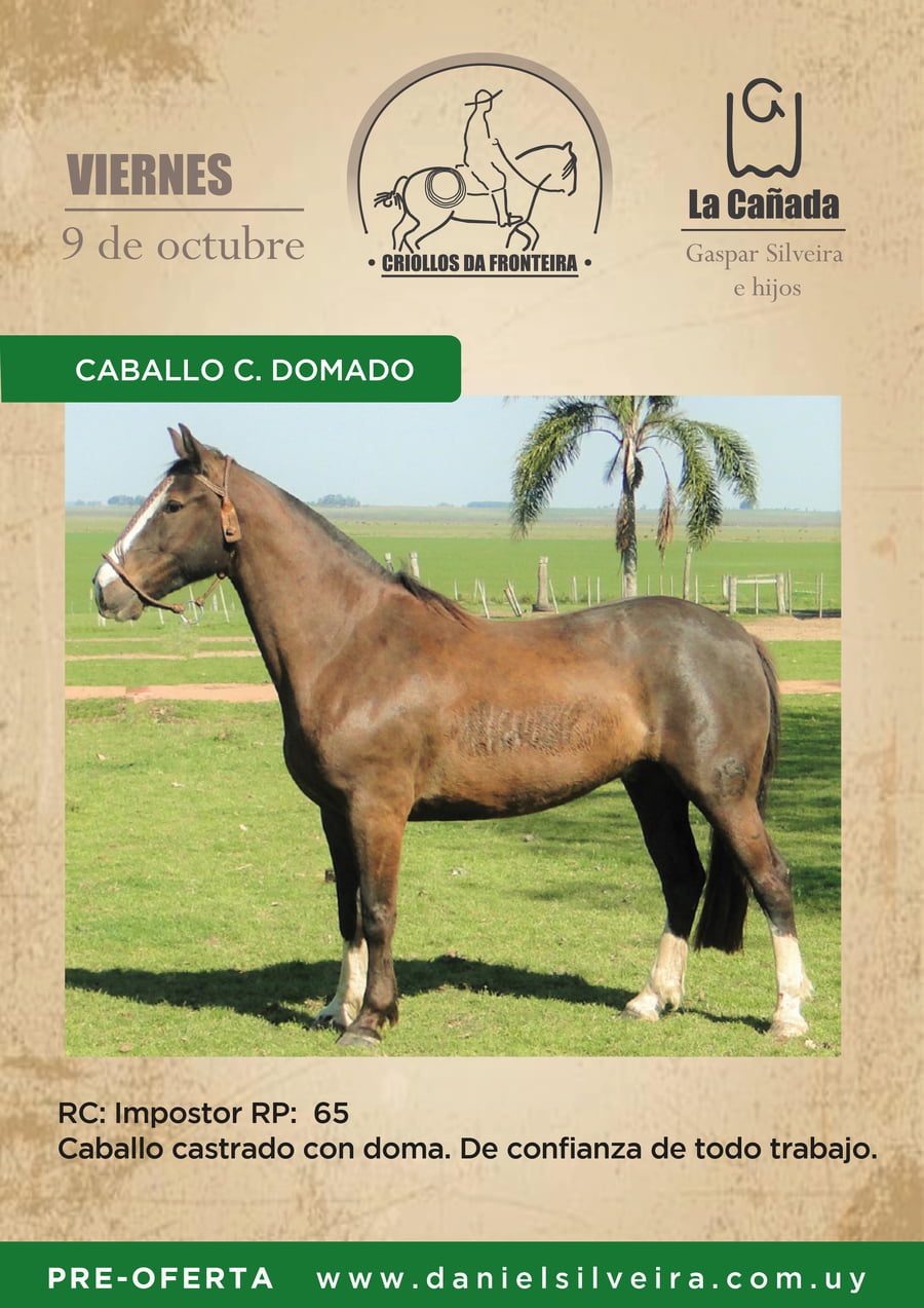Lote Criollos da Fronteira RC Impostor  RP: 65