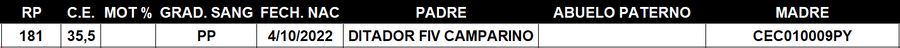 Lote LOTE 9