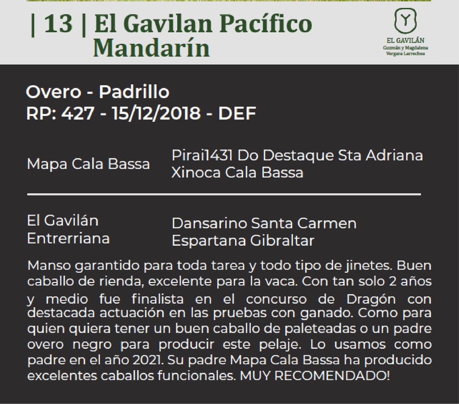 Lote El Gavilan Pacífico Mandarín (RP 427) Cabaña "El Gavilán"
