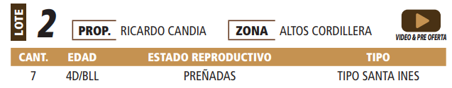 Lote LOTE 2 -POR PANTALLA