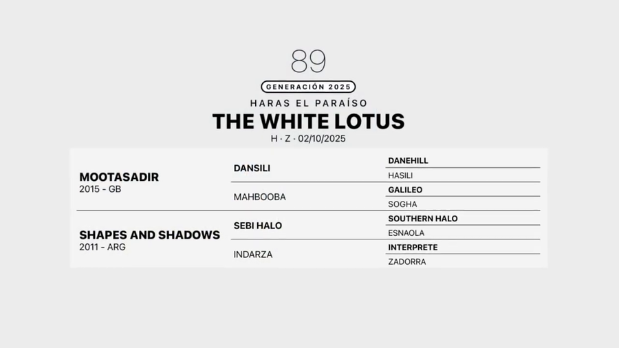 Lote THE WHITE LOTUS