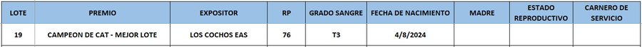 Lote LOTE 19