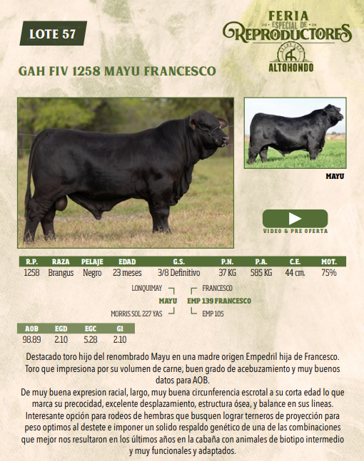 Lote LOTE 57