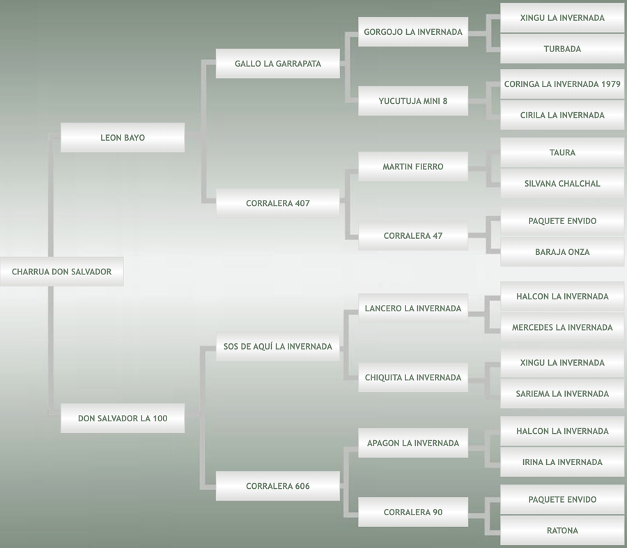 Lote Charrua Don Salvador