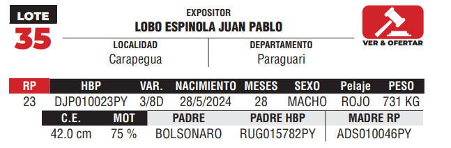 Lote LOTE 35 - DE CAMPO