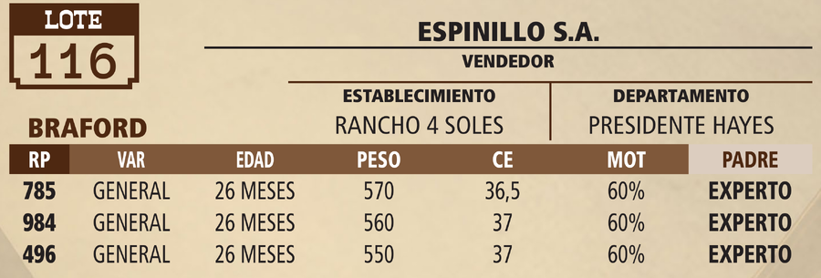Lote LOTE 116 - PANTALLA