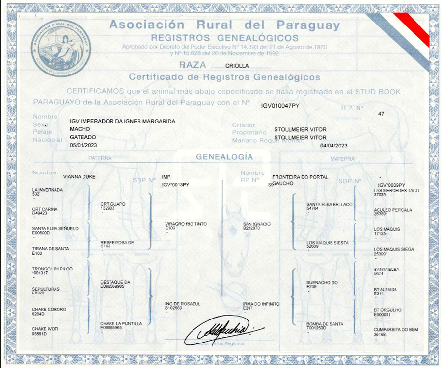 Lote LOTE 15- DE BOZAL