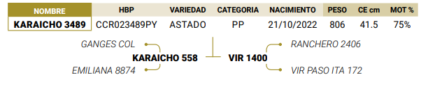 Lote LOTE 66