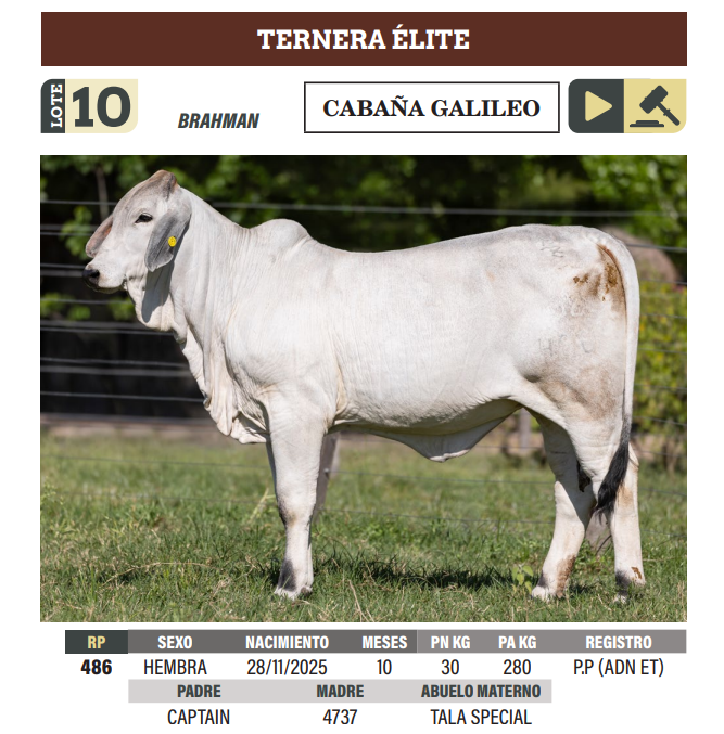 Lote LOTE 10