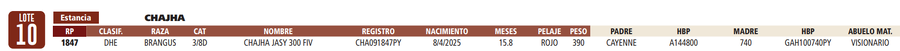 Lote LOTE 10