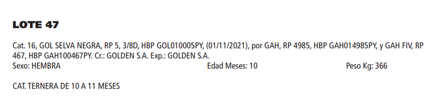 Lote LOTE 47