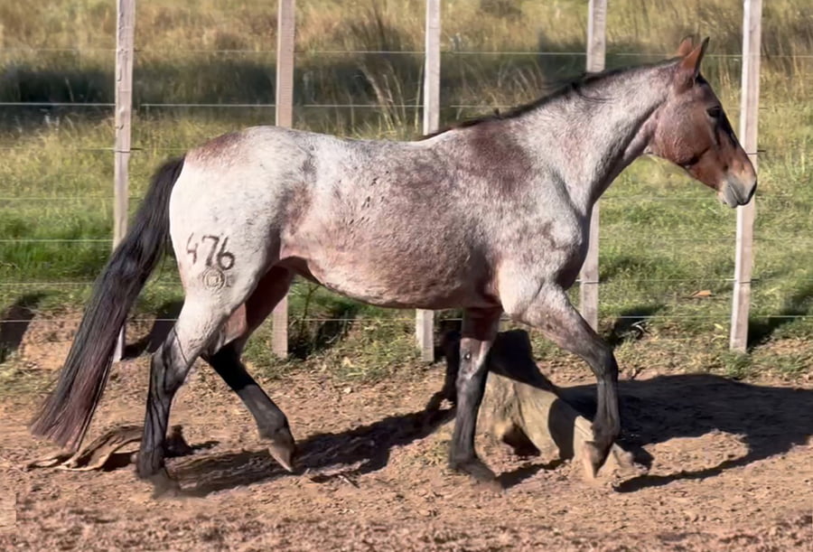 Lote DOÑA DEL CEIBAL