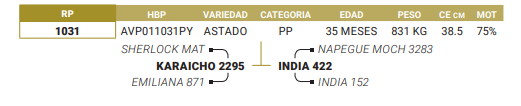 Lote LOTE 74