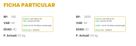 Lote LOTE 48