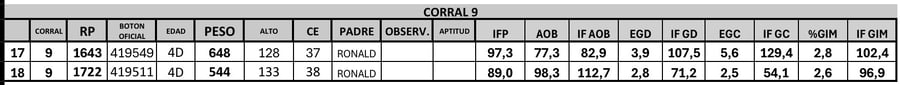 Lote 2 Toros PC