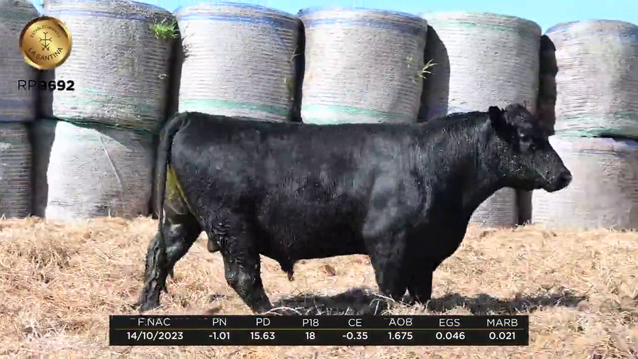 Lote LA SANTINA RAINFALL 2153-2692