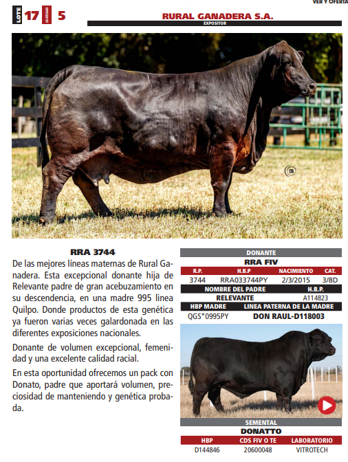Lote LOTE 17