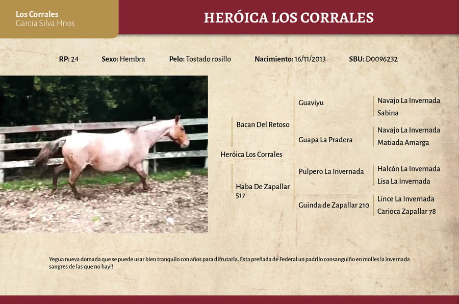 Lote Heroica Los Corrales (RP 24) - Cabaña Los Corrales