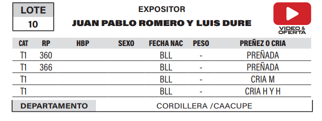 Lote LOTE 10- POR PANTALLA