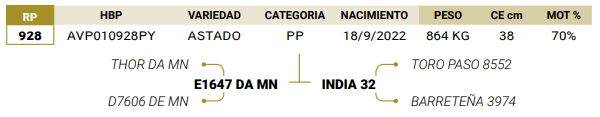 Lote LOTE 67