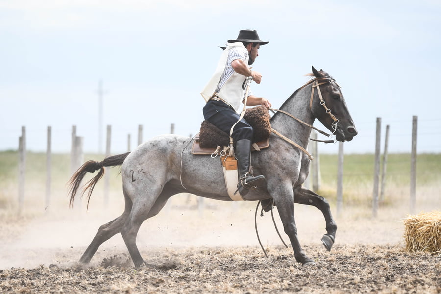 Lote MORENA SHAROU 2A