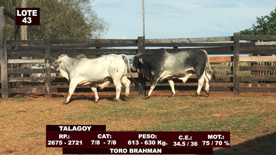 Lote Cabañas de Tradición - Lote 43