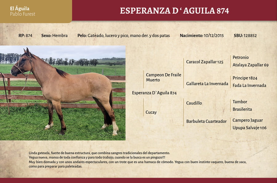 Lote Esperanza El Águila (RP 874) - Cabaña El Águila