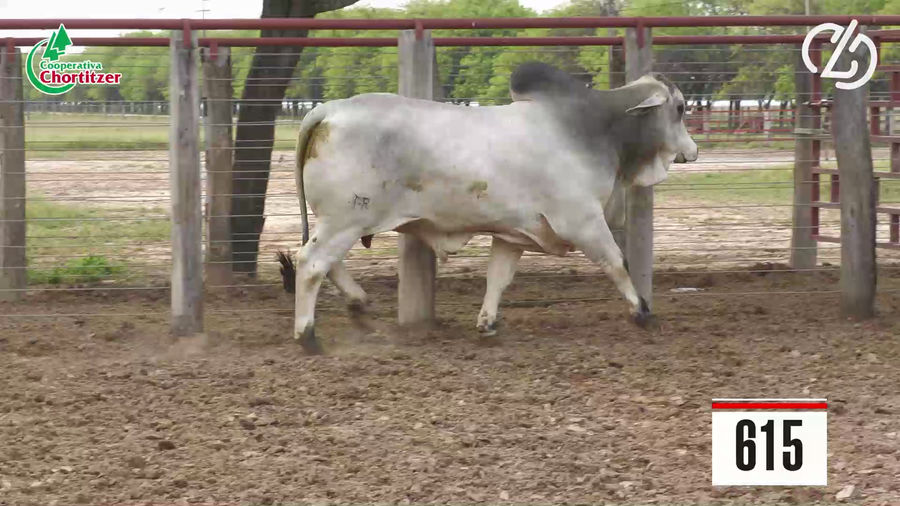 Lote Brahman