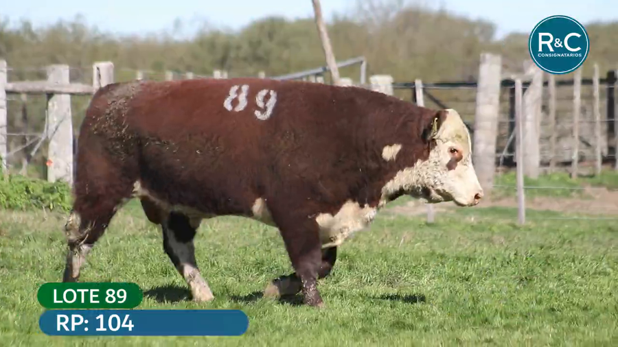 Lote Hereford