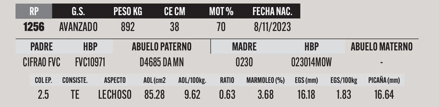 Lote LOTE 54