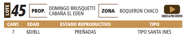 Lote LOTE 45 -POR PANTALLA