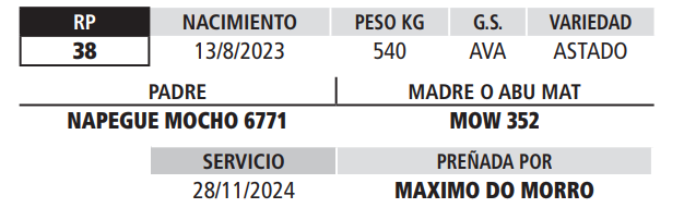 Lote LOTE 18