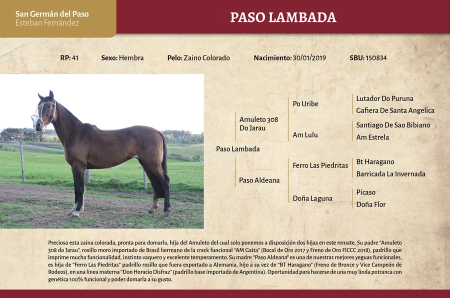 Lote Paso Lambada (RP) - Cabaña san Germán del Paso