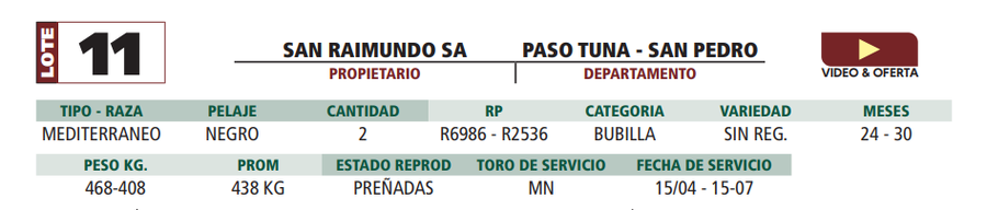 Lote LOTE 11